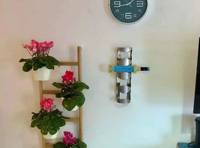 Apartman Casa Lucilita